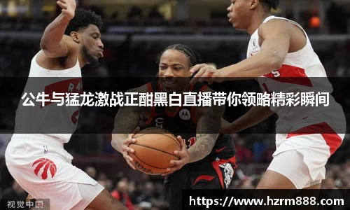 公牛与猛龙激战正酣黑白直播带你领略精彩瞬间